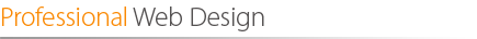Professional Web Development - Website Design Chicago, Custom Software Development Company Chicago, Web Development Chicago