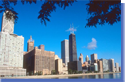 Chicago Skyline